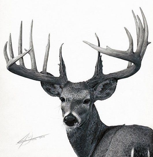 Julio Lucas / Behance.
