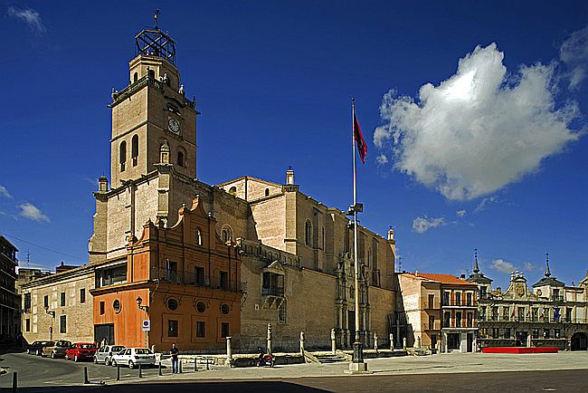 Colegiata de San Antolin. 