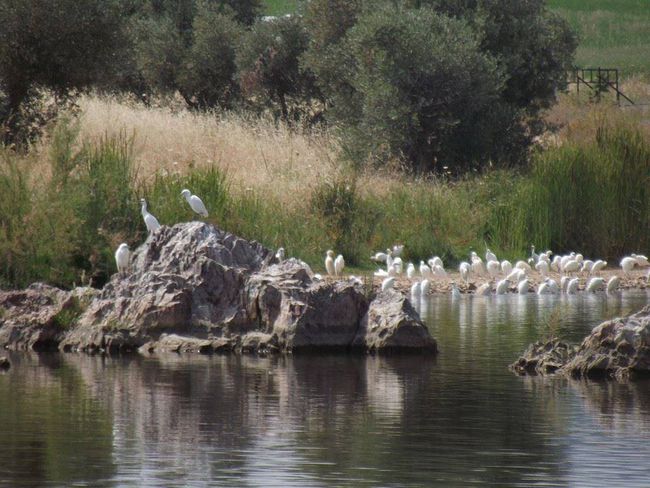 Naturaleza.