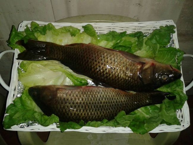 Gastronomia.