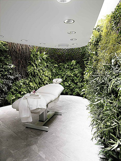 Aeropuerto Internacional Kingsford Smith - Payot Spa 