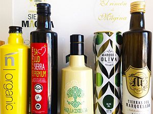 La D.O. Sierra Mágina incrementa en un 15% los aceites certificados en 2015