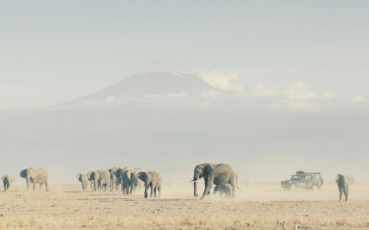 Colaboración de Land Rover y la Fundación “Born Free”