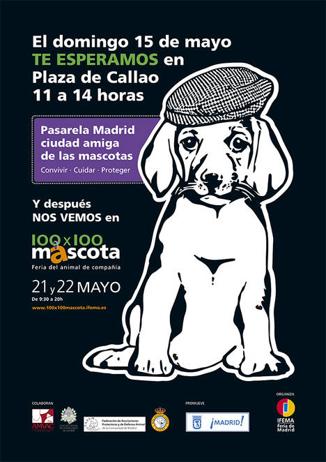 100x100 MASCOTA celebra San Isidro con actividades para promover el respeto a los animales
