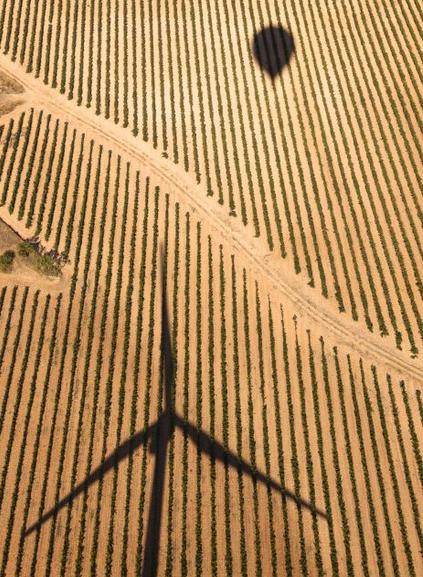 Bodegas Verum presenta en Madrid la primera malvasía aromática elaborada en Castilla la Mancha