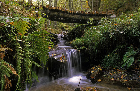 Tebaida Berciana.