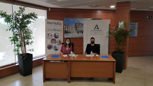 Ibermutua se une a la Red Andaluza de Entidades Conciliadoras impulsada por el Instituto Andaluz de la Mujer