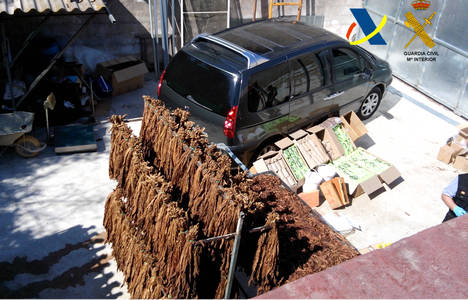 Intervenidas 100 toneladas de tabaco valorado en 16 millones de euros