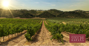 La Interprofesional del Vino de España trabaja junto a KPMG en el desarrollo del plan estratégico del sector vitivinícola para los próximos años