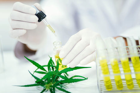 De Dietrich Process Systems ofrece soluciones llave en mano para la extracción de CBD y THC