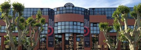 Una estrategia de buen gobierno puede salvar una startup en su fase más inicial