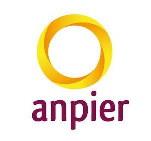 Anpier reclama un derecho efectivo de acceso y conexión a redes para pymes y ciudadanos