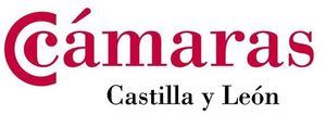 El Consejo de Cámaras amplía con 26 nuevas empresas el banco de buenas prácticas ODS como ejemplo del cumplimiento de la Agenda 2030 en el tejido empresarial