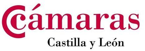 El Consejo de Cámaras amplía con 26 nuevas empresas el banco de buenas prácticas ODS como ejemplo del cumplimiento de la Agenda 2030 en el tejido empresarial