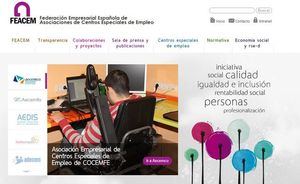 FEACEM exige la plena igualdad de las mujeres con discapacidad en todos los ámbitos, también en el mercado laboral