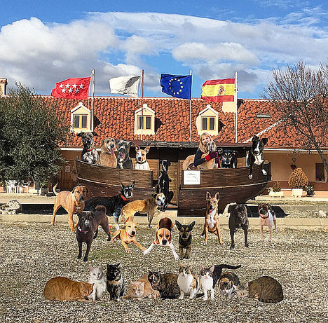 La Fundación el Arca de Noé y la compañía navarra Gloria Pets firman un convenio de colaboración