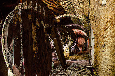 Visita Bodegas Subterraneas.