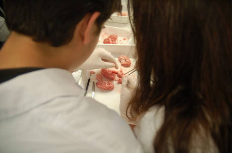 Alumnos de bachillerato de Barcelona organizan un Simposio de Biología y Medicina con científicos de gran nivel
