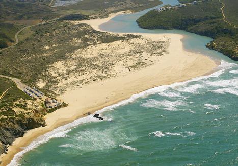 Amoreira Mar.