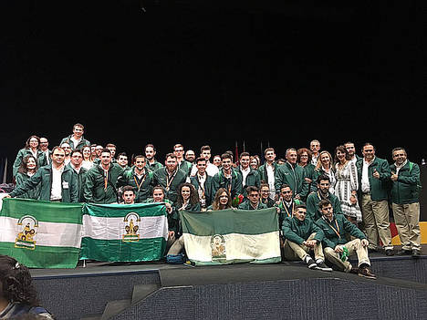Andalucía consigue tres oros, cinco platas y un bronce en el Campeonato Nacional de FP 'Spainskills 2017'