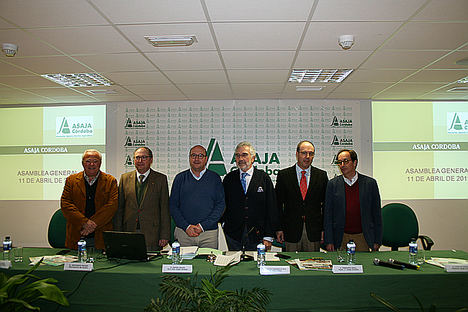 Asaja celebra su asamblea anual con preocupación por la crisis del olivar y los cítricos