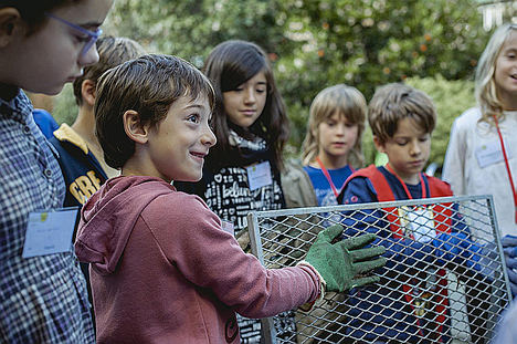 Asociación Vida Sana y Fundación Triodos presentan a los ganadores del V Premio Nacional Huertos Educativos Ecológicos