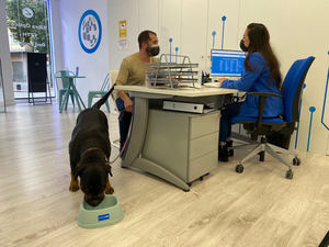 Avanza convierte todas sus tiendas en Pet Friendly y busca a la mascota de la empresa