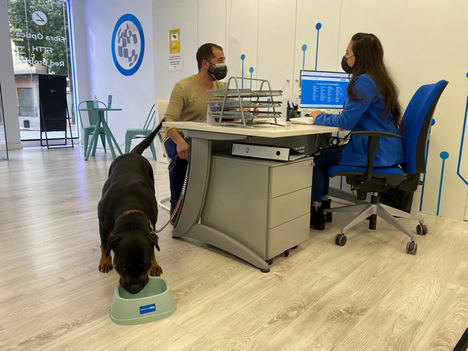 Avanza convierte todas sus tiendas en Pet Friendly y busca a la mascota de la empresa