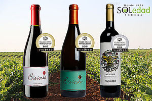 Bodega Soledad vuelve a triunfar en Canadá con dos medallas de oro y una plata para sus vinos