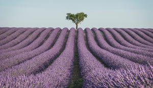 El cambio a la sostenibilidad tendrá impactos similares a los de la revolución digital, todas las industrias se verán afectadas