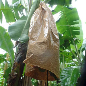 La solución BanaBag® triunfa en los Better Planet Packaging Awards de Smurfit Kappa