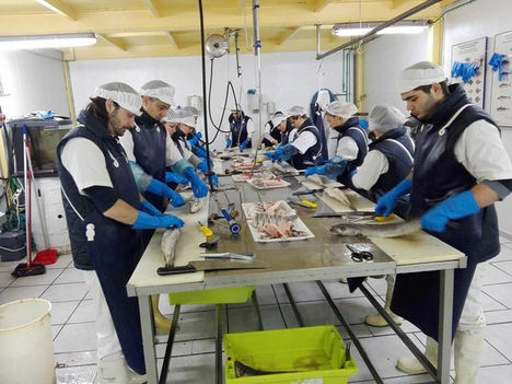 Bideratu pone en marcha dos cursos sobre carnicería y pescadería con un elevado índice de colocación