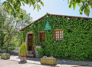 Los bungalows son la opción más recurrida para veranear en la montaña, según bungalows.pro