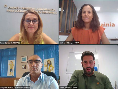 Participantes en webinar.