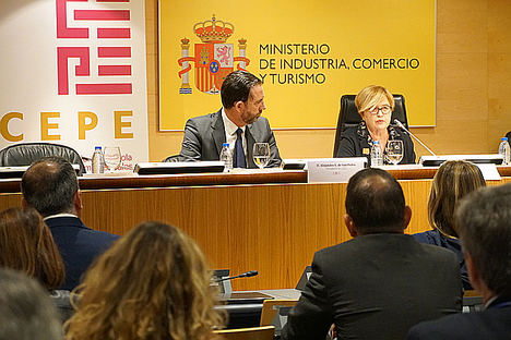 CEPE prevé que en 10 años más de 500 polígonos, el 10% de los existentes en España, consigan la marca de calidad 'Polígonos Empresarial de Calidad', impulsada por la coordinadora y certificada por AENOR