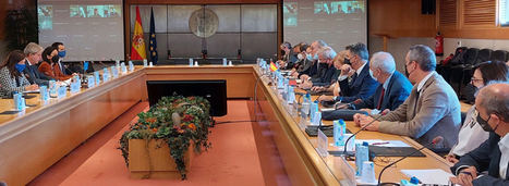 El CES pide una reforma del marco fiscal europeo para potenciar el crecimiento sostenible e inclusivo y estabilizar la economía sin menoscabar la sostenibilidad de la deuda