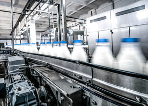 Los rodamientos Silver-Lube® de NSK resisten los fluidos de lavado en la cinta transportadora de la línea de embotellado