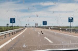 ¿Por qué se estrellan menos insectos en el parabrisas?