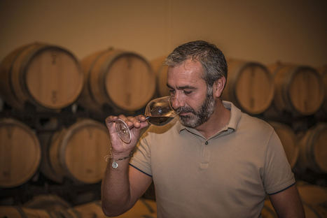 Carlos San Pedro - Pujanza.