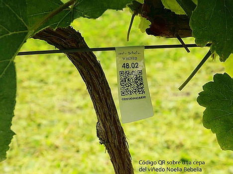 Noelia Bebelia explica cómo Google puede ayudar a elaborar mejores vinos