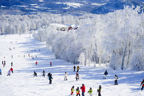 Cerro Chapelco