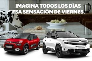 Black Friday en Citroën