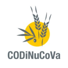 Nutricionistas advierten: 1 de cada 3 españoles elige la comida rápida frente a restaurantes
