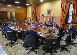 Los jóvenes agricultores andaluces podrán recibir el 25% de las ayudas con solo justificar el inicio del proceso de instalación