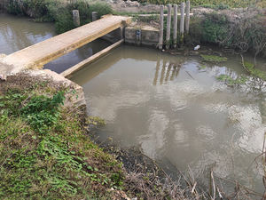 Desarrollan una solución con microorganismos vivos para acabar con el problema de la paja del arroz que contamina la Albufera