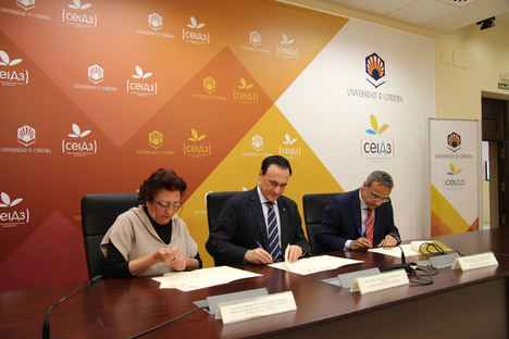 De izqda a dcha: Araceli Ráez Pérez, presidenta del Colegio de Graduados Sociales de Córdoba, José Carlos Gómez Villamandos, rector de la Universidad de Córdoba, y Orlando Vázquez Guerrero, director provincial en Córdoba de Ibermutuamur.