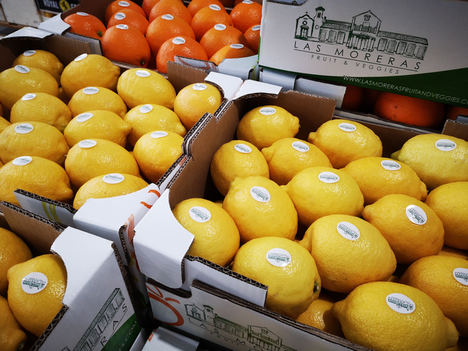 Las Moreras Fruit & Veggies, la nueva marca de TM Grupo Inmobiliario para desarrollar su negocio agrícola