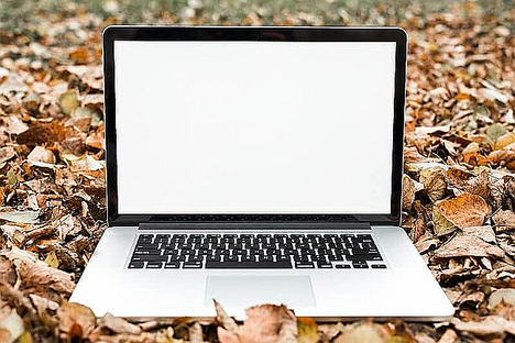 Del clic al campo. El emprendedor online que triplicó sus beneficios desde un pueblo de Castilla y León