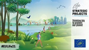 Programa LIFE: Un proyecto catalán recibirá más de 11 millones de euros para adaptación climática