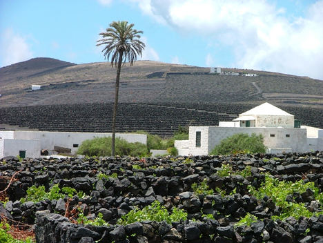 De Lanzarote a Guipúzcoa, Bodegas Singulares y Vinos de Autor muestran la gran diversidad de los vinos españoles en Enofusión